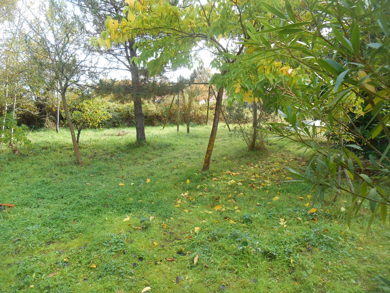 Les feuilles mortes et vivantes, l\'herbe verte ( Les Moutiers en Retz )