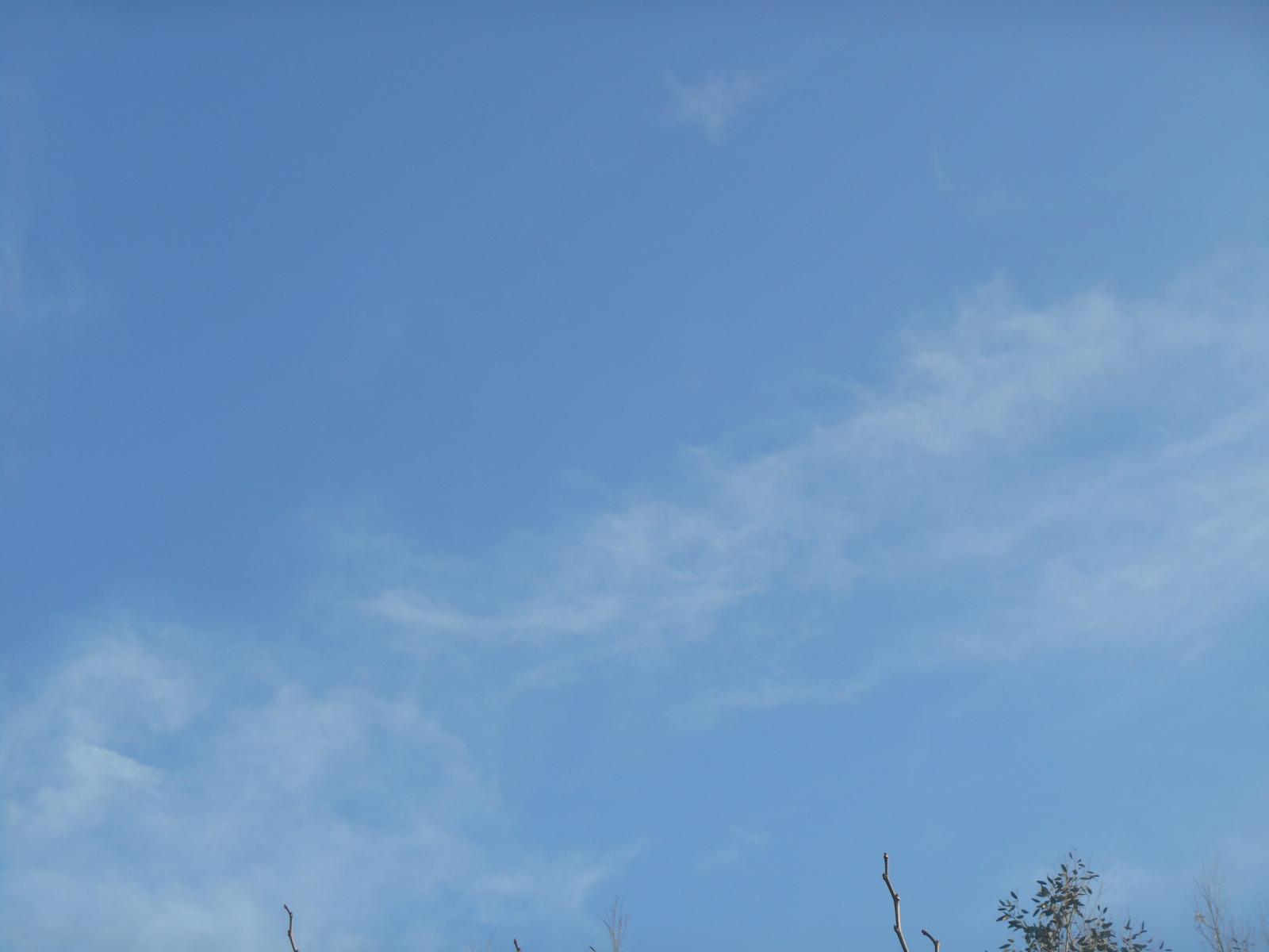 Le bleu un peu gris ( Les Moutiers en Retz )