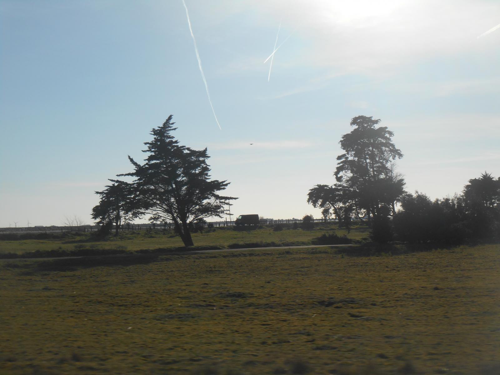 Le Collet encore et une petite excursion en Vende bretonne (Bouin) ()