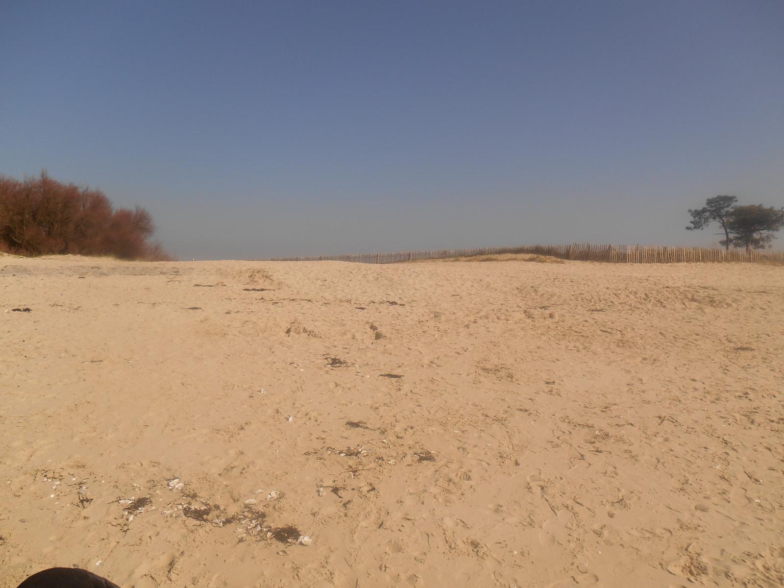 Dune de sable ( Les Moutiers en Retz )