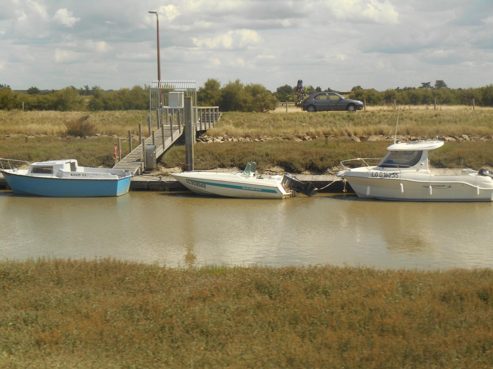 Les bateaux aligns ( Les Moutiers en Retz )
